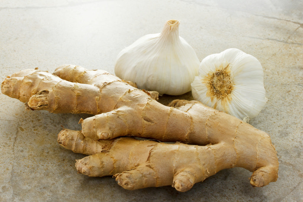 The Dynamic Duo: Ginger and Garlic