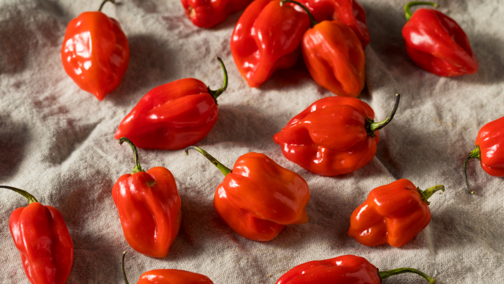 Remedies For Pepper Accidents