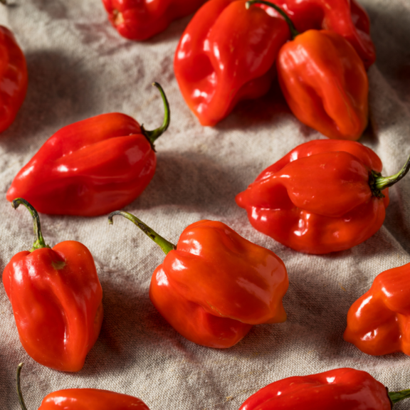 Remedies For Pepper Accidents