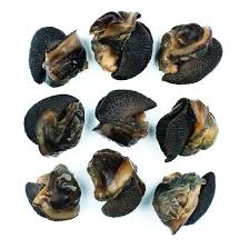 Dried Snails (4Count)
